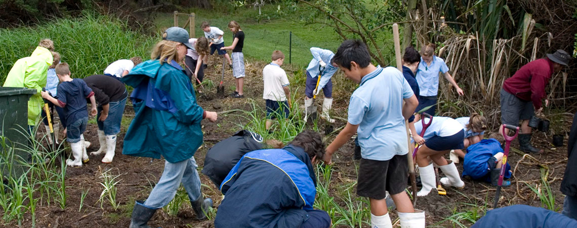 Waiheke Schools Wetland Restoration