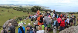 Waiheke Walking Festival
