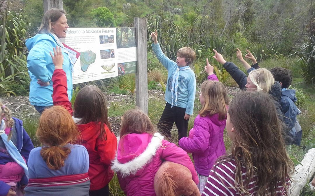 McKenzie Reserve, Enclosure Bay