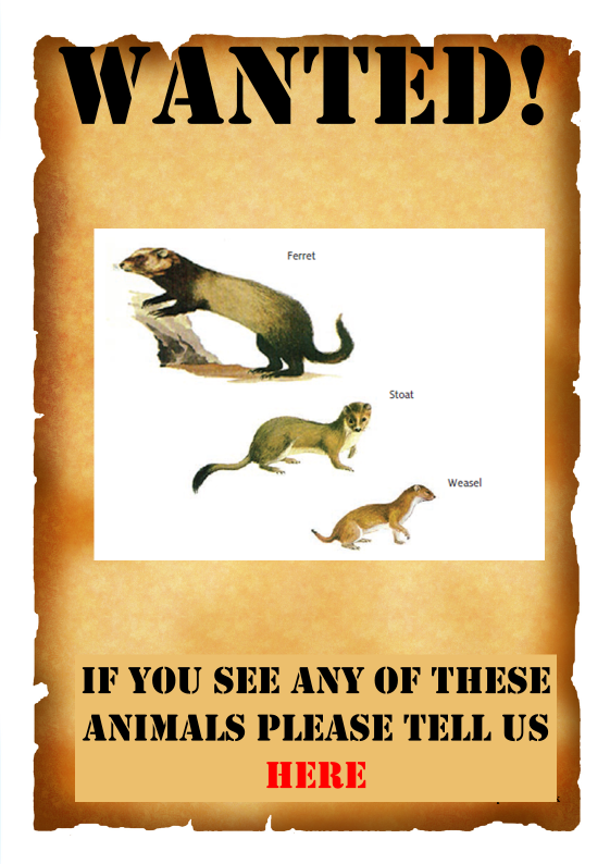 Predator Free Waiheke Poster